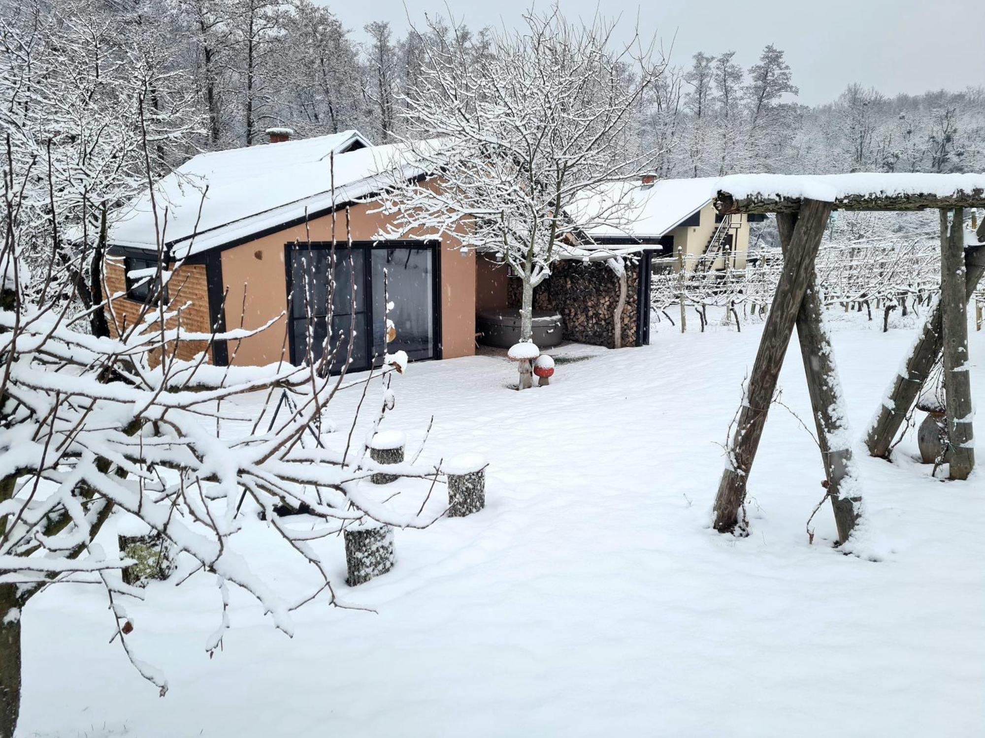 Gozdarjeva Hiska M&K Villa Dobrovnik Dış mekan fotoğraf